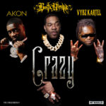 Busta Rhymes – Crazy ft. Akon & Vybz Kartel Cover