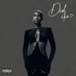 Cina Soul – DID I LIE Album Cover